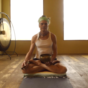 Video Of All Levels Vinyasa Class With Stephen Bethel
