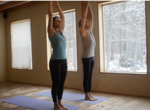 Wrist Free Sun Salutation