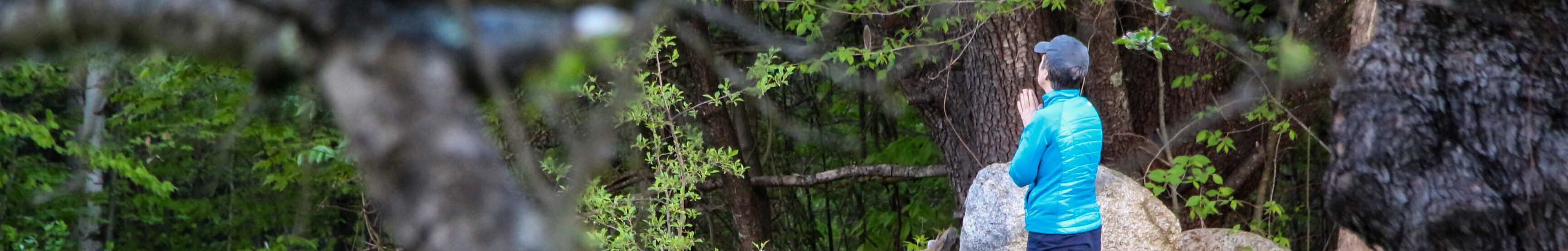 Forest Therapy Walk (FREE!)
