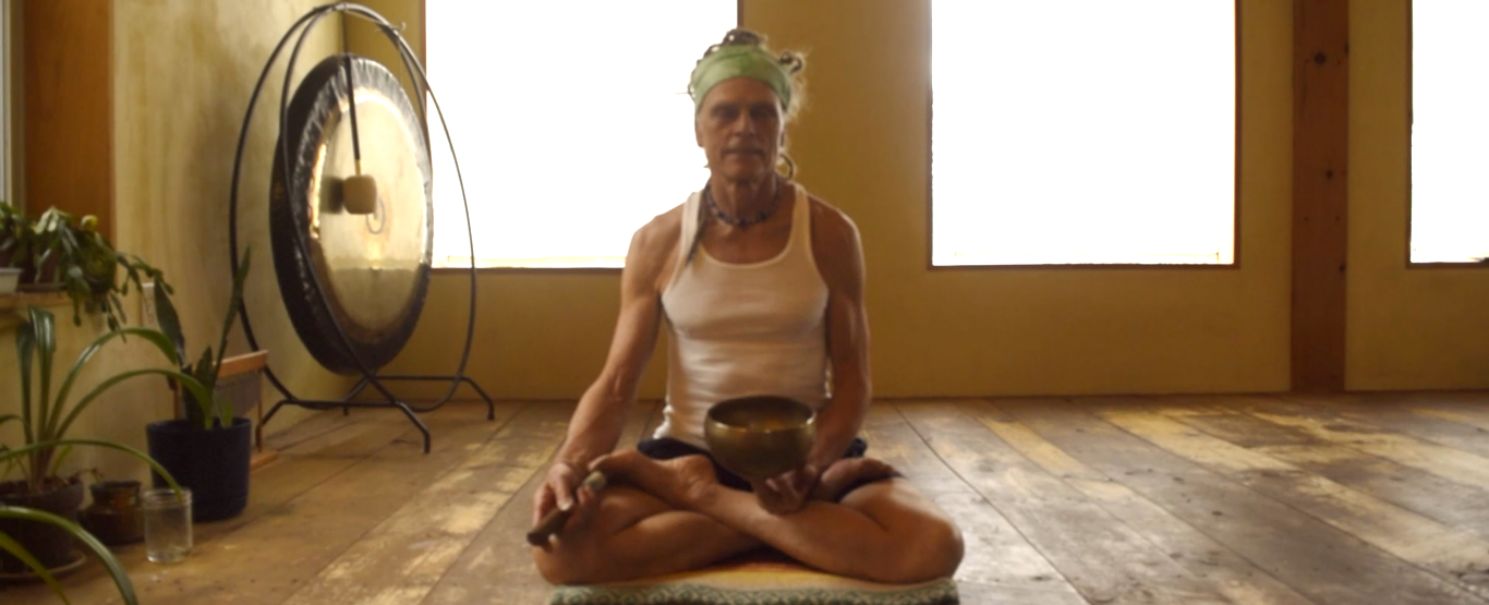 Beginner And All Levels Vinyasa Class