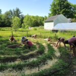 Farm Apprentice Program